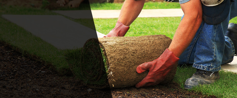 Park Falls Landscapers